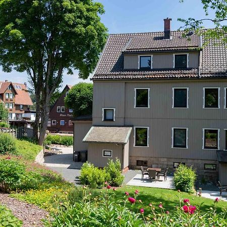Strandberg'S Harzchalet Braunlage Kültér fotó