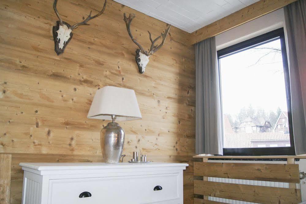 Strandberg'S Harzchalet Braunlage Kültér fotó