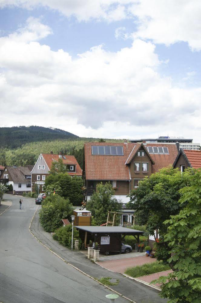 Strandberg'S Harzchalet Braunlage Kültér fotó